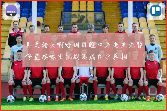 真是猪头啊哈姆目瞪口呆老里无暂停直接喊出挑战完成自杀真相