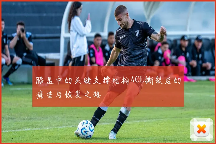 膝盖中的关键支撑结构ACL撕裂后的痛苦与恢复之路